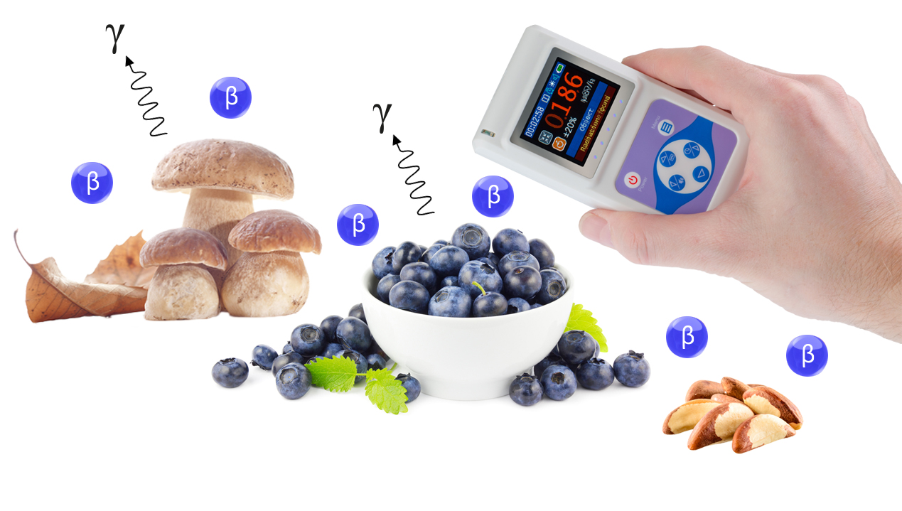 Дозиметр РадиаСкан 701 А